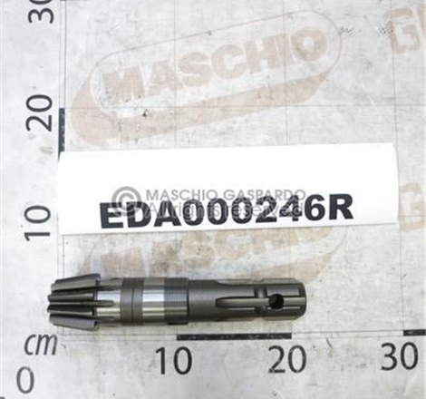Pinhão Z10 Maschio Golia - EDA000246